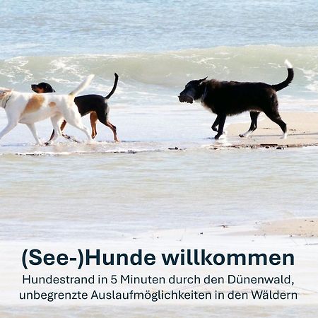 Paradies-Ambiente - Strandnah, Sauna, Kamin, Hundefreundlich Penzance Dış mekan fotoğraf